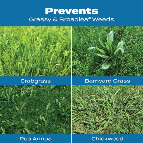 Turf Builder Halts Crabgrass Preventer with Lawn Food, 13.35 lb.