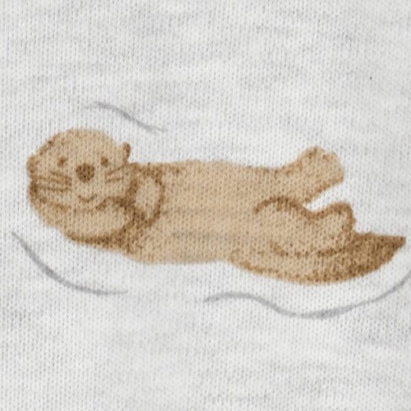 Baby Boy Sleep 'n Play, One-Piece, Sizes Preemie-6/9 Months