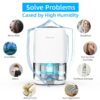Dehumidifier Portable and Ultra Quiet with Automatic Defrosting for Home 1000ML(2200 Cubic Feet)