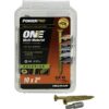 Hillman Fasteners 116843 Power Pro ONE Multi-Material Screws, #10 x 2