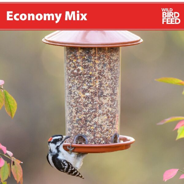(2 pack) Economy Mix Wild Bird Feed, Value Bird Seed Blend, Dry, 20 lb. Bag