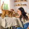 Meow Mix Tender Centers Salmon & White Meat Chicken Flavors, Dry Cat Food, 14.2 lb. Bag