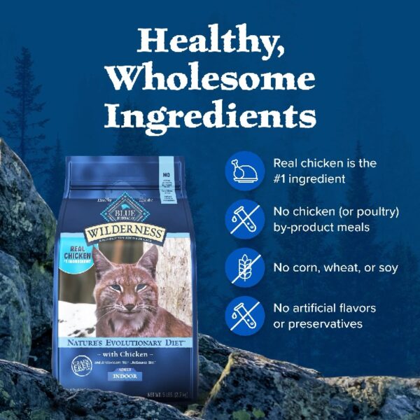 Blue Buffalo Wilderness Natural High-Protein, Grain-Free Dry Cat Food, Chicken, 4-lb. Bag