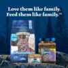 Blue Buffalo Wilderness Natural High-Protein, Grain-Free Dry Cat Food, Chicken, 4-lb. Bag