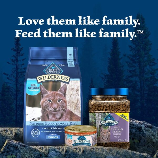 Blue Buffalo Wilderness Natural High-Protein, Grain-Free Dry Cat Food, Chicken, 4-lb. Bag