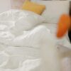 Dorm Bedding Twin Comforter Set - 5 Pieces Pintuck Bed in A Bag with Comforters, Sheets, Pillowcases & Shams