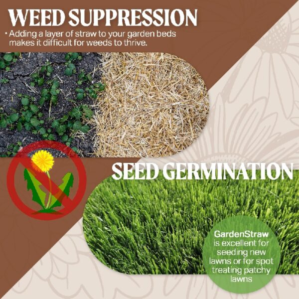 GardenStraw, 3 cu ft (20 lbs) Pack of 1 – All-Natural Mulch for Gardens, Vegetables Lawn Seeding – Water-Conserving, Weed-Suppressing Wheat Straw – Cleaned, Sustainably Sourced