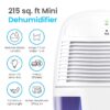 1 Pint Portable Dehumidifier Ultra Quiet 17oz Dehumidifier for Rooms up to 215 sqft, Closet