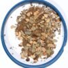 Succulent and Cactus Soil - Jacks Gritty Mix - 2 Gallons  Fast Draining  Fight Root Rot  Optimized pH