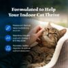 Blue Buffalo Wilderness Natural High-Protein, Grain-Free Dry Cat Food, Chicken, 4-lb. Bag