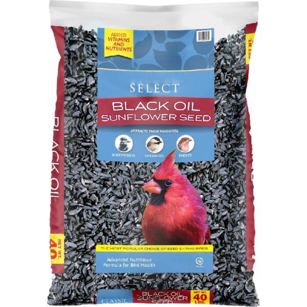 Select Black Oil Sunflower Seed Wild Bird Dry Feed, 40 lb. Bag