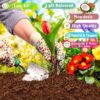10lb of  100% Organic Coco Coir Bricks with Low EC and pH Balance High Expansion Coco Fiber for Herbs, Flowers,Plants Gardening Renewable Coconut Soil