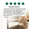 Purina Cat Chow Hairball & Healthy Weight, Indoor Dry Cat Food, Chicken, 20 lb Bag