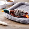 (3 pack) Vibrant Life Plush Duck Dog Toy with Honker