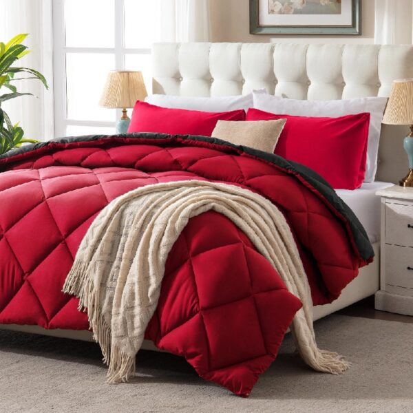 3 Pieces Bed in a Bag Comforter Set Duvet Insert,Reversible,Red/Black,Full Size Comforter Set-200GSM