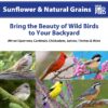 (5 pack) Sunflower & Natural Grains Wild Bird Feed, 5 lb