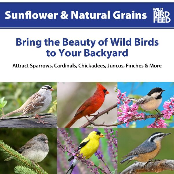 (5 pack) Sunflower & Natural Grains Wild Bird Feed, 5 lb