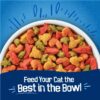 Purina Dry Cat Food Seafood Sensations With Salmon, Tuna, and Shrimp Flavors, 30 lb Bag