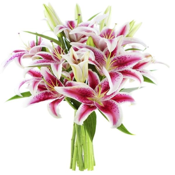 KaBloom : 10 stargazer lilies with greens in vase, Next-Day Delivery, Gift for Every Occasion.