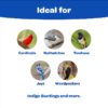 (2 pack) Peanuts Wild Bird Food 5 pounds