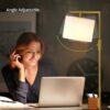 Iron Modern Standing Lamp, Gold Floor Lamp for Living Room, with Rotary Switch, Hanging Shade and 3 Color Temperatures 9W Bulb for Bedroom, Study Room, Office