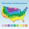 Altman Plants Live Houseplants in 2