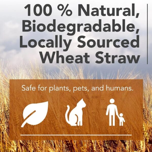 Premium Garden Straw (4 LBS) - Straw Mulch That is Designed for Use in Compost Beds, Gardens, Pet Bedding, Lawns and Much More. by Home and Country USA
