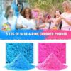 Color Blaze Gender Reveal White Ball with Pink & Blue Colored Powder