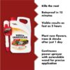 Weed & Grass Killer, Non-Selective Herbicide with AccuShot Sprayer, 1.33 Gal.