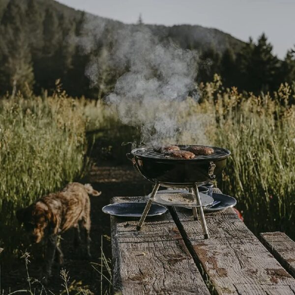 Gas One – 14-inch Portable Barbecue Grill with 3-Point Locking Lid for Heat Preservation – Dual Venting System – Small Charcoal Grill for Backyard, Camping, Boat