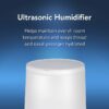 Cool Mist Ultrasonic Color Changing Humidifier & Diffuser, Filter-Free, 0.5 Gallon