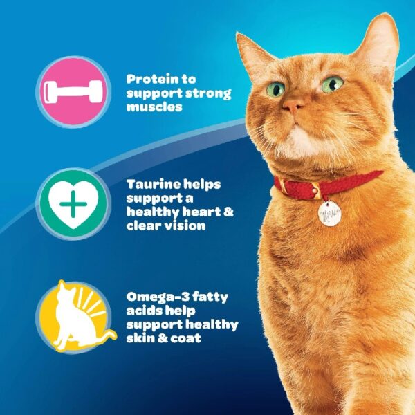 9Lives Daily Essentials Dry Cat Food, 28 lb. Bag