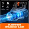 SENIX 20 Volt Max* Cordless Leaf Blower, Up to 350 CFM and 80 MPH, Variable Speed, Lightweight, (Tool Only) BLAX2-M-0