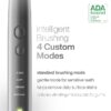 Black Series Electric Toothbrush - Rechargeable, 4 Modes, Travel Case, 8 Brush Heads