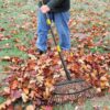 YeYeBest 25 Tines Heavy Duty Garden Leaf Rake for Lawns, 65