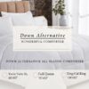 Light Weight Down Alternative Comforter Set, Queen, Green, Reversible