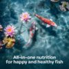 Kaytee Koi's Choice Koi Floating Fish Food 10 pounds