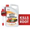 Weed & Grass Killer, Non-Selective Herbicide with AccuShot Sprayer, 1.33 Gal.